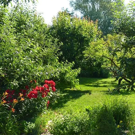 Dorka Vendeghaz * Kehidakustany