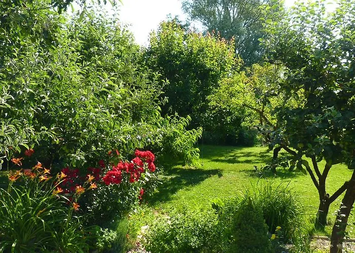 Dorka * Kehidakustány